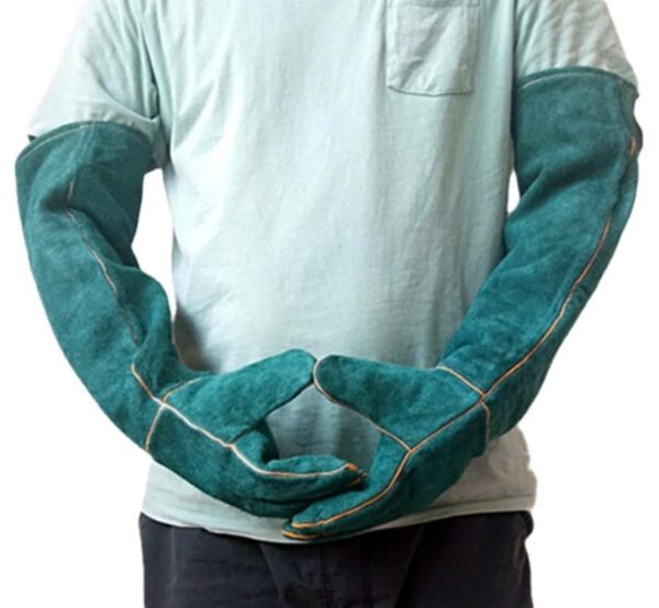 Long Gloves