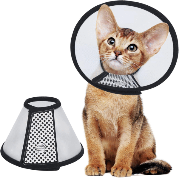 Funnel Cat Collar