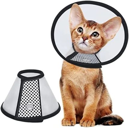 Cat & Dog E-Collar (Elizabethan Collar) | Pet Recovery Collar | Rupkotha Pet Care